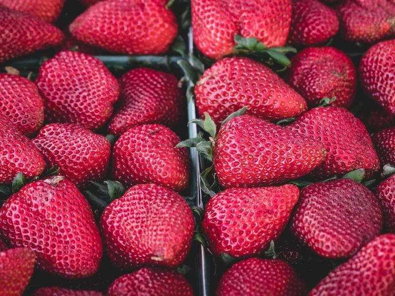 Documentary photography on the Greek island of Rhodes